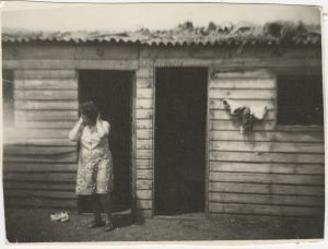 Pincheira_Fern&aacute;ndez